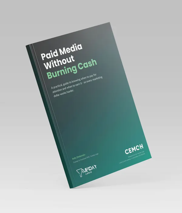 Paid Media Without Burning Cash e-book