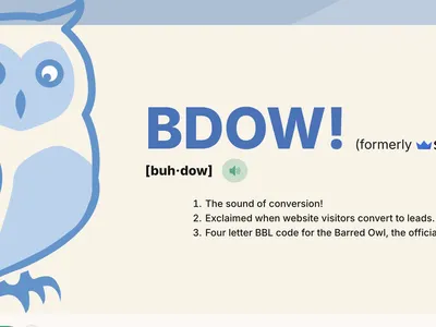 How to Install BDOW (Sumo) Using Google Tag Manager