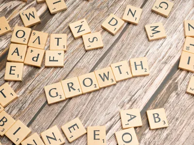 How Fractional CMOs Diagnose Growth Constraints