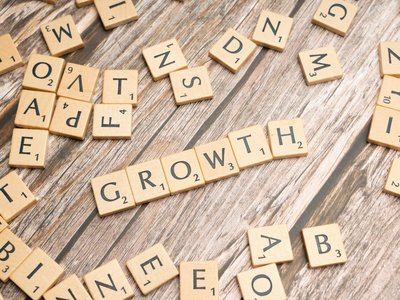How Fractional CMOs Diagnose Growth Constraints