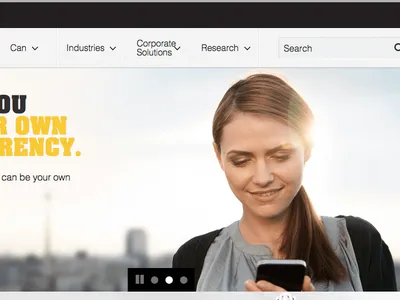 The Business Case for (or against) Stand Alone Websites