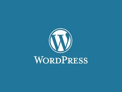 How to Give an Agency Access to Wordpress